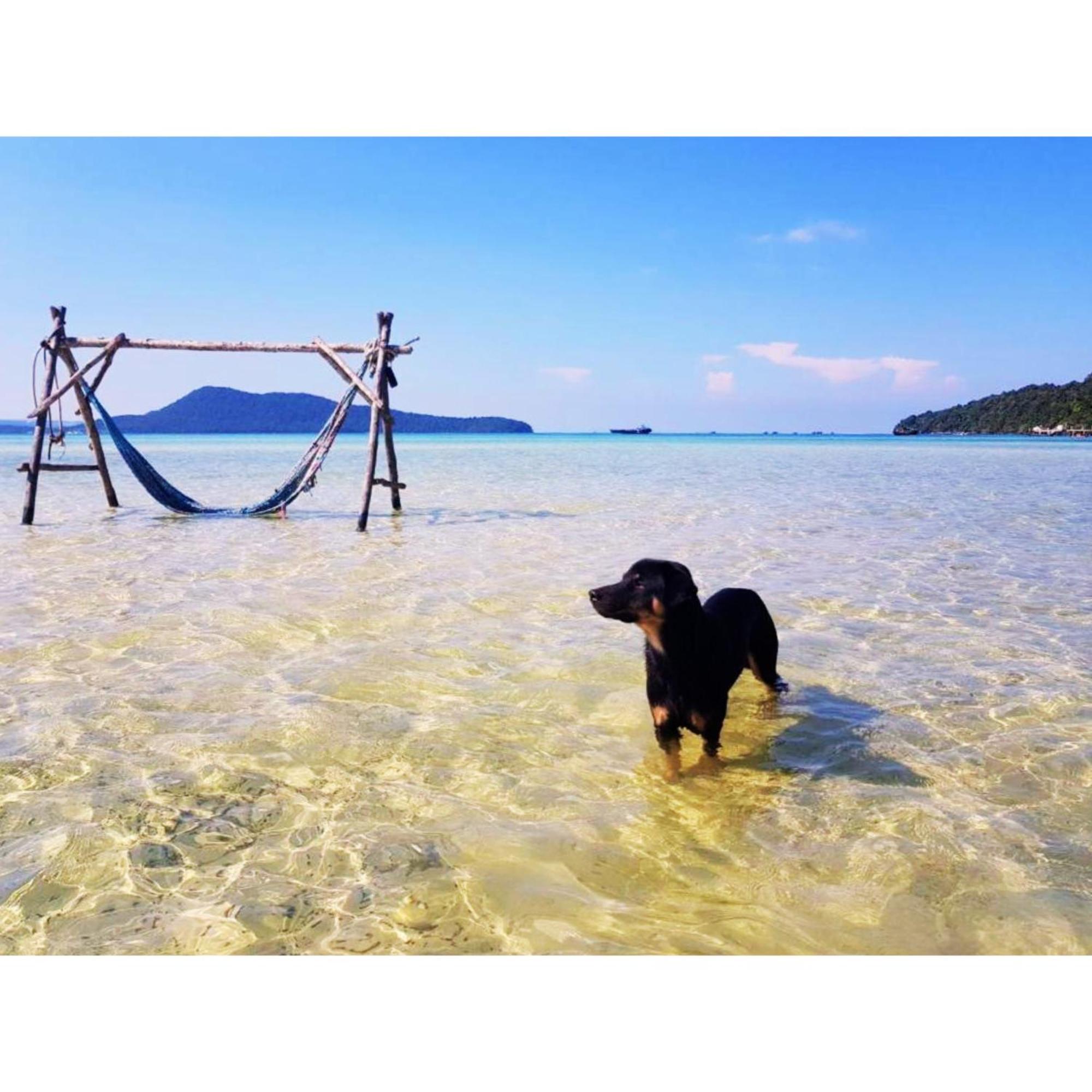 Mangrove Beach Bungalows 高龙撒冷岛 外观 照片